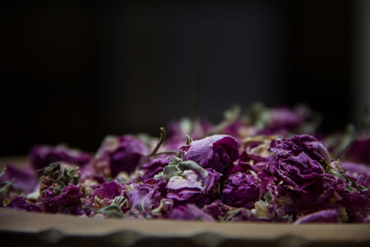Riad Tama & Spa Varzazat Dış mekan fotoğraf