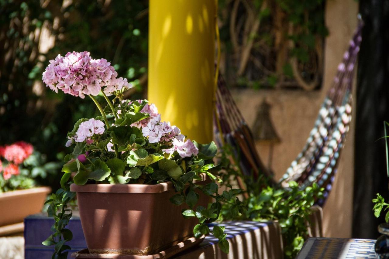 Riad Tama & Spa Varzazat Dış mekan fotoğraf